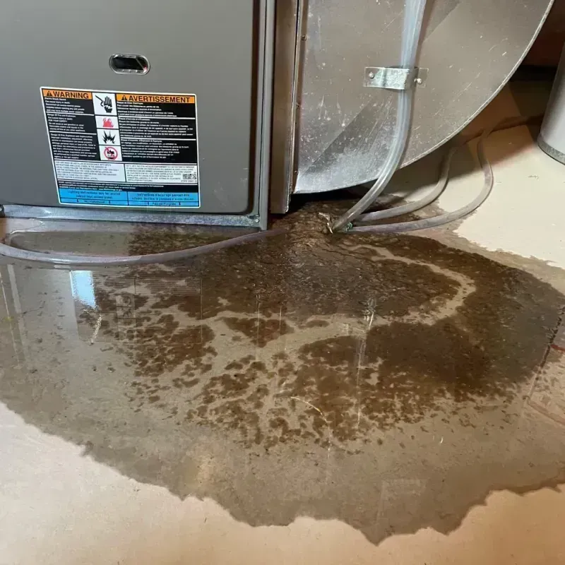 Appliance Leak Cleanup in Gunbarrel, CO